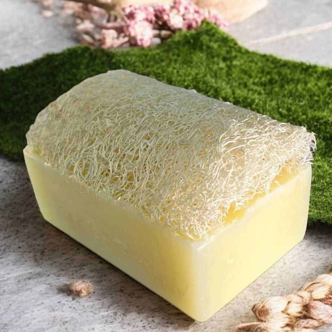 CreamLoof™ Goat Milk Soap with Natural Loofah – Nourishing & Exfoliating | Handmade & Cold Processed – Silky Glows