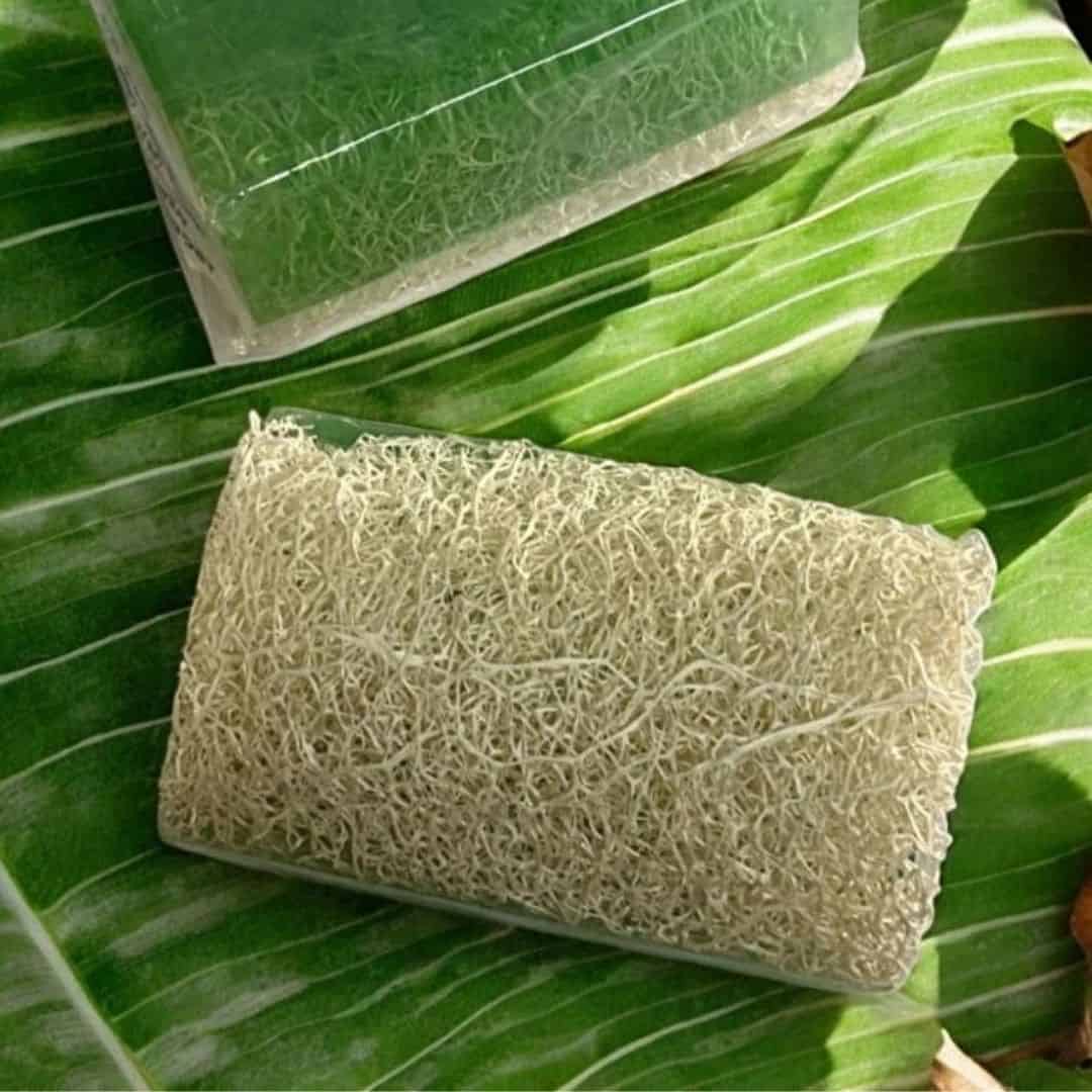 HerbalPur™ Loofah Tea Tree Soap – Refreshing & Exfoliating | Handmade & Cold Processed – Silky Glows
