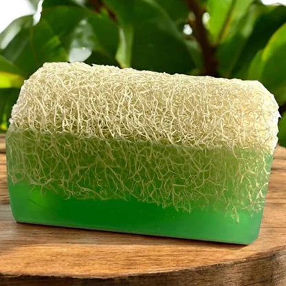 HerbalPur™ Loofah Tea Tree Soap – Refreshing & Exfoliating | Handmade & Cold Processed – Silky Glows