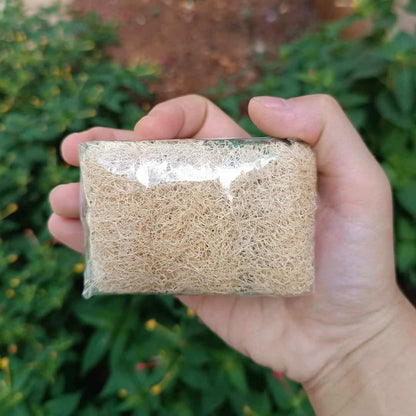 HerbalPur™ Loofah Tea Tree Soap – Refreshing & Exfoliating | Handmade & Cold Processed – Silky Glows