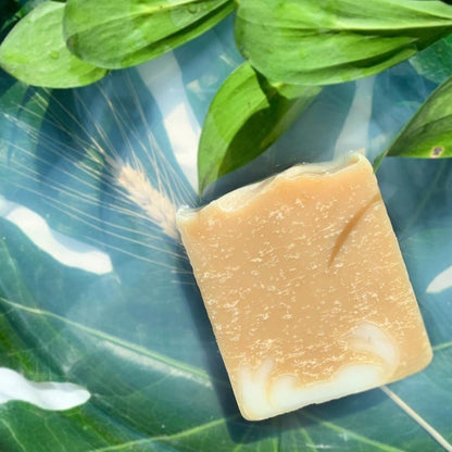 Argan Luxe Soap – Nourish, Hydrate & Glow | Handmade & Cold Processed – Silky Glows
