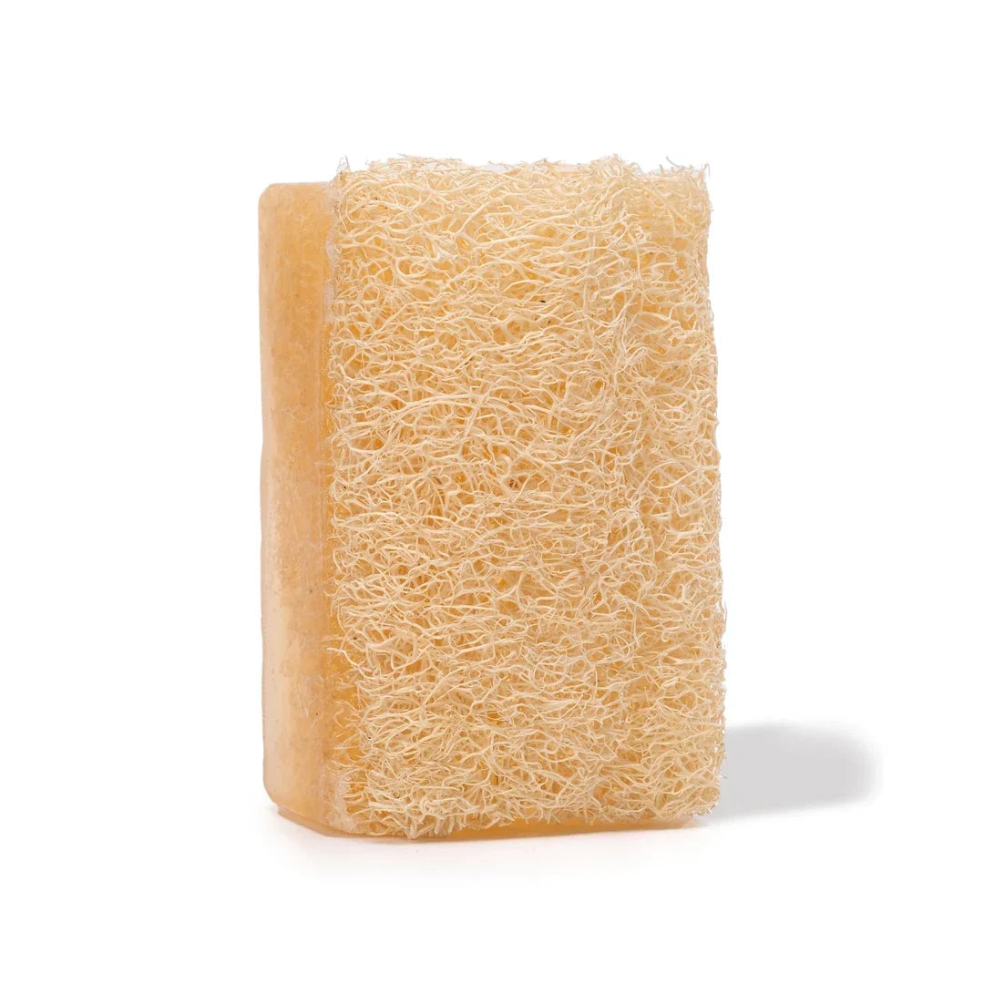 HoneyMilkLoof™ Donkey Milk & Honey Soap with Natural Loofah – Nourish, Smooth & Exfoliate | Handmade & Cold Processed – Silky Glows (Kopya)