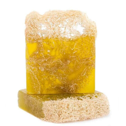 Avocado Loofah Soap – Deeply Nourishing & Exfoliating | Silky Glows®