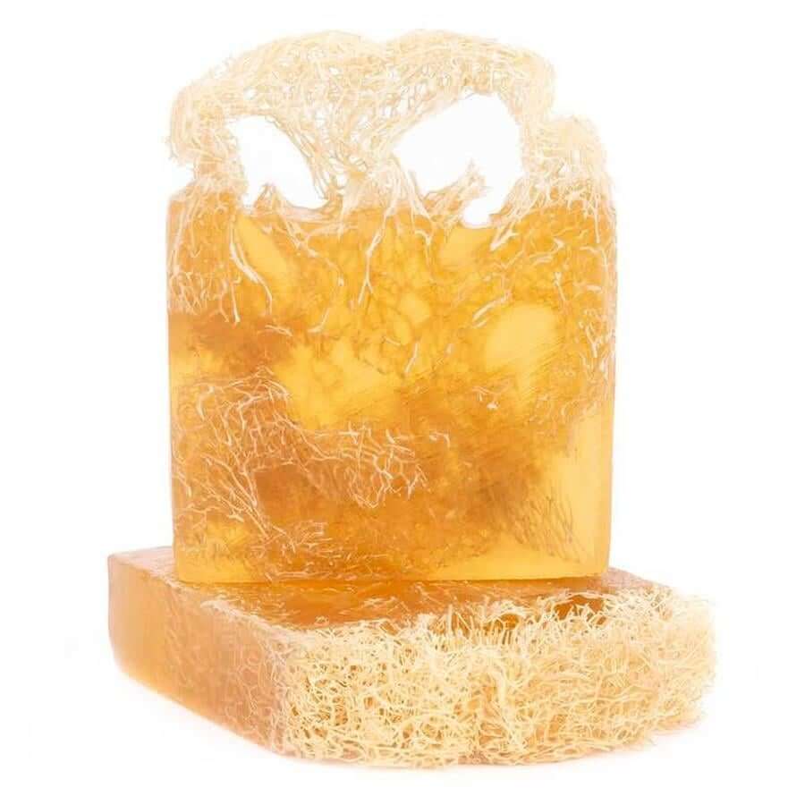 Coconut Loofah Soap – Refreshing & Exfoliating Bath Experience | Silky Glows®