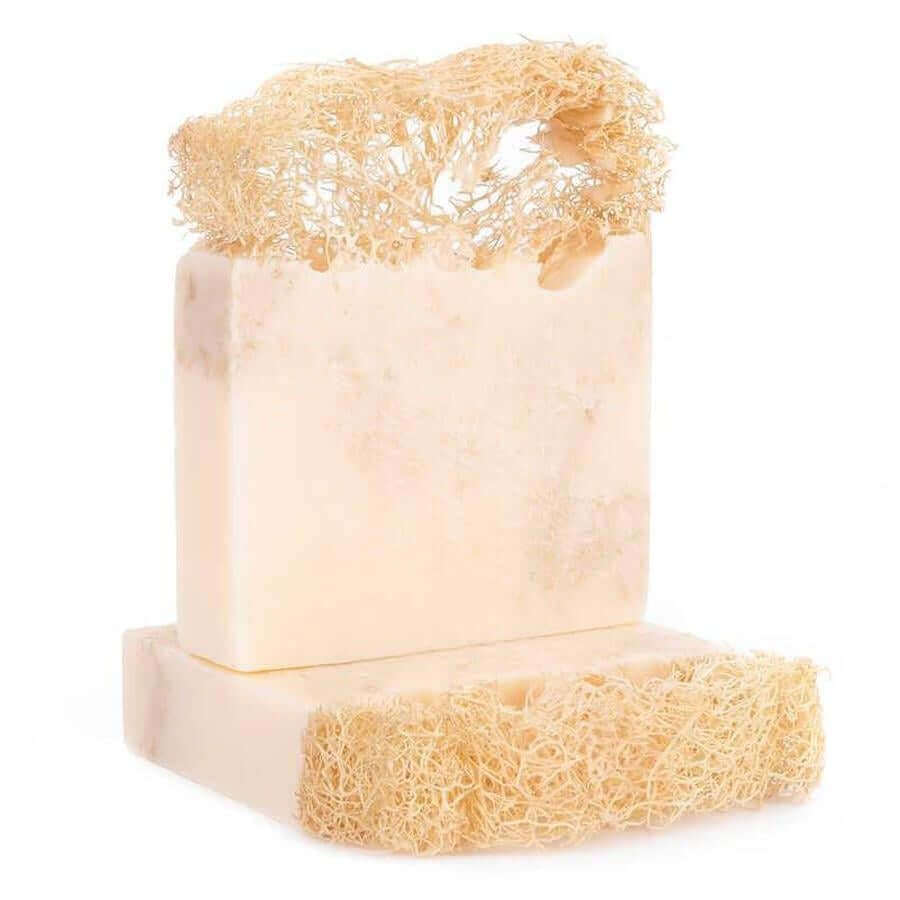 Silky Glows Vanilla Loofah Soap – Spa-Like Luxury & Gentle Exfoliation | Silky Glows®